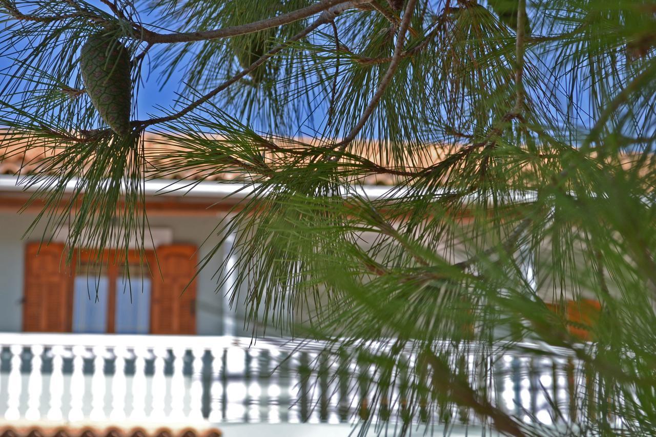 Pine Tree Apartment & Sunset By "Elite" Ágios Nikolaos Exterior foto